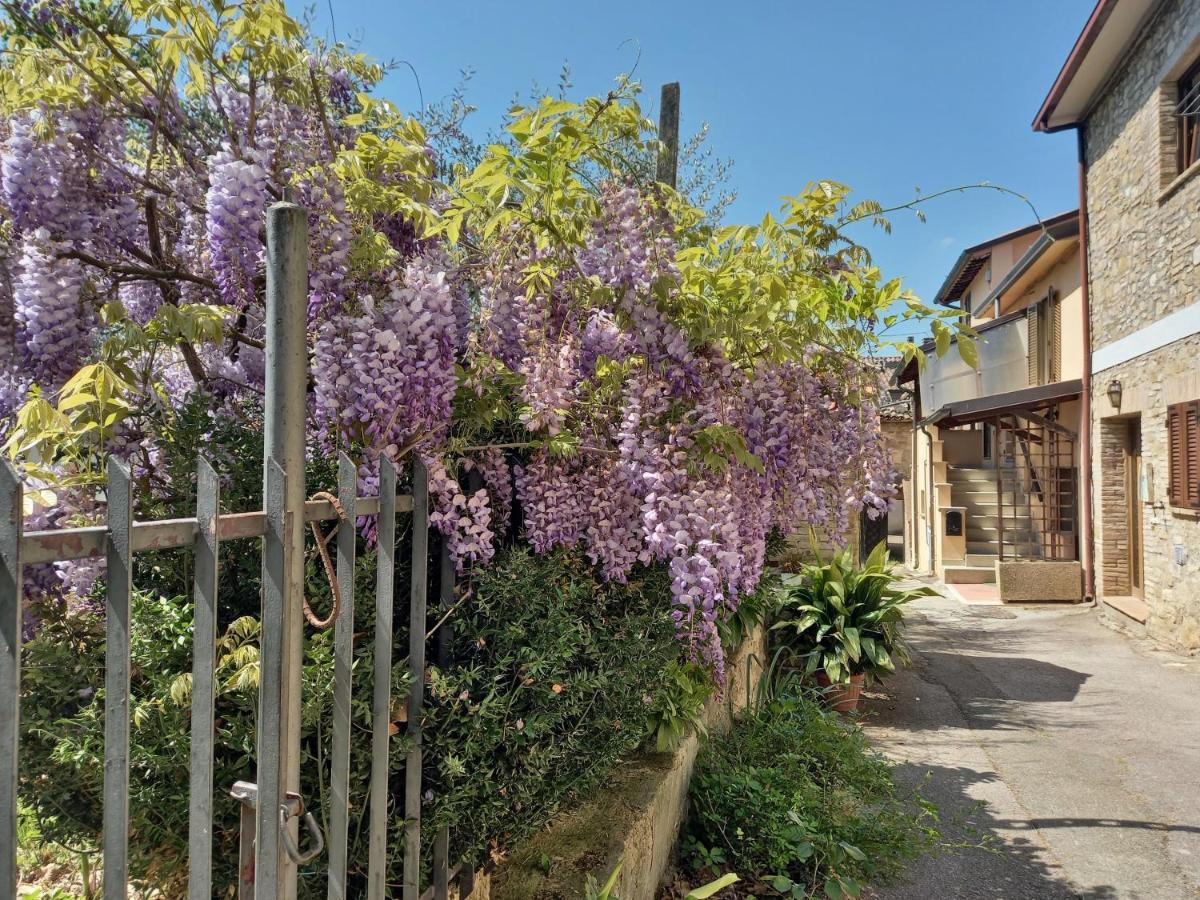 B&B Torrematta Асизи Екстериор снимка